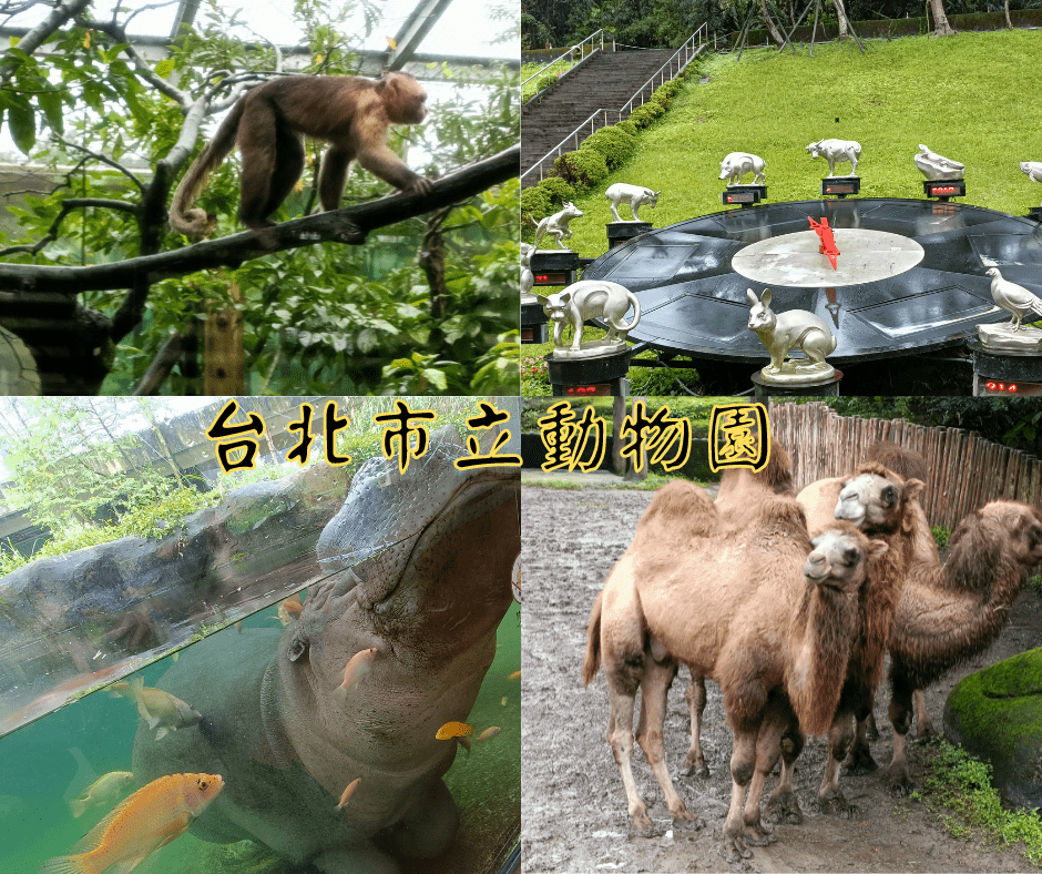  台北市立動物園